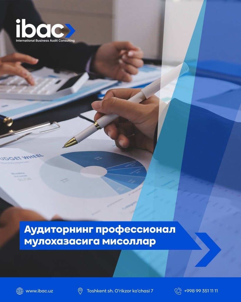 Аудиторнинг профессионал мулоҳазасига мисоллар